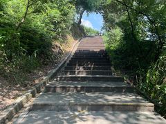 -羚羊峡古栈道森林公园