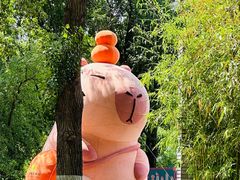 -北京野生动物园