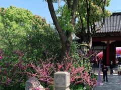 -南汇桃花村