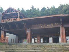 -阿里山神木遗迹