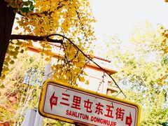 -三里屯东五街银杏大道