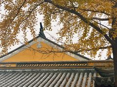 -西林禅寺