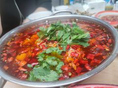 鱼蛋火锅-拈一筷子·宜宾江湖菜(十一街店)