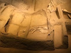 -洛阳周王城天子驾六博物馆