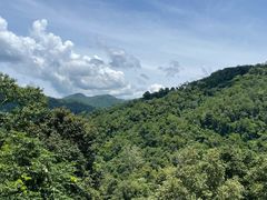 -野象谷景区