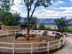 -大理实力希尔顿酒店•香全日制餐厅