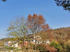 -浮山风景名胜区