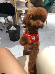 -J·C NAIL美甲美睫