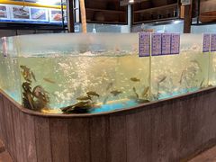 -丹江渔村(首都机场店)