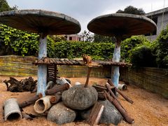 -泉州海丝野生动物世界