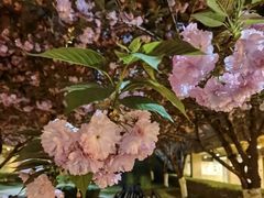 -仁恒西郊花园