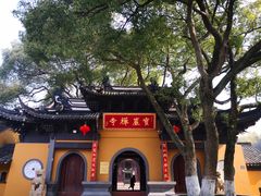 -宝岩生态观光园