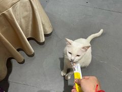 -水上人家河鲜