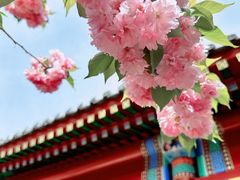 -北京颐和宾馆
