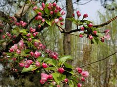 -元大都城垣遗址公园