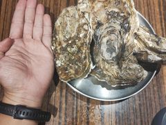 -蚝堡海鲜·威海菜·海肠捞饭·烧烤·亚洲吃蚝公司(幸福门店)