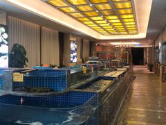 水产区-骏莱海鲜鱼港(五角场店)