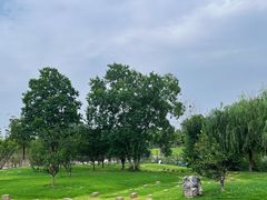 -盘龙城国家考古遗址公园