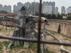 -南昌动物园