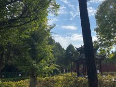 -洛阳白马寺
