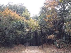 五云山-西湖风景区十里琅珰-五云山