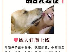 -申普宠物医院·眼科·心内科·影像科(普陀分院)