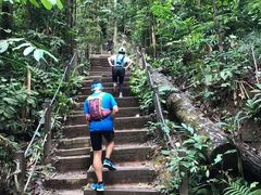 -武吉知马自然保护区