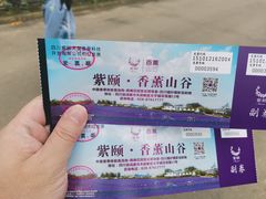 -紫颐香薰山谷景区