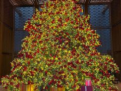 -养云安缦吧THE BAR