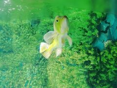 -泉城欧乐堡海洋极地世界