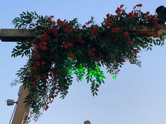 -芜湖方特东方神画