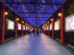 -广州长隆国际大马戏