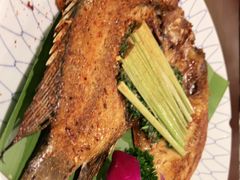 -紫滇源云南生态菜(丹凤街店)