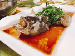 -盛记顺德高佬猪杂粥