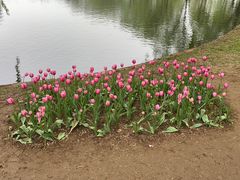 -石家庄市植物园