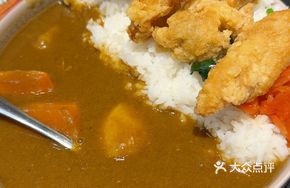 Japanese Fried Chicken Curry Rice