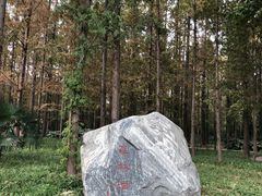 -河南省黄河迎宾馆