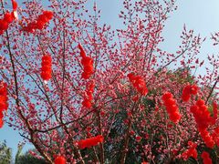 -锦尚家宴