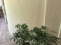 -花迹(富春江东街店)