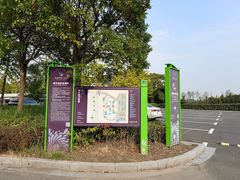 -杭州湾海上花田景区