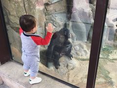 -灵玲国际马戏城