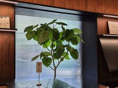 -MEDISN·药厂