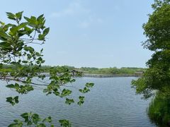 -溱湖国家湿地公园