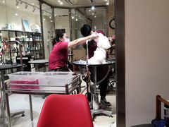 -宠物家(双井店)