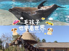 -南昌动物园