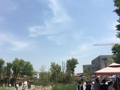 -茯茶镇