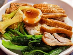 金奖卤鹅肉饭-陈鹏鹏潮汕菜(宝安机场T3航站楼店)