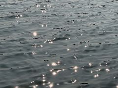 -动邦皮划艇·桨板·独木舟·团建户外运动俱乐部