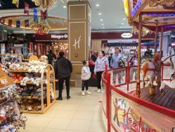 -哈姆雷斯(王府井百货大楼店)