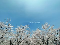 -龙美术馆(西岸馆)